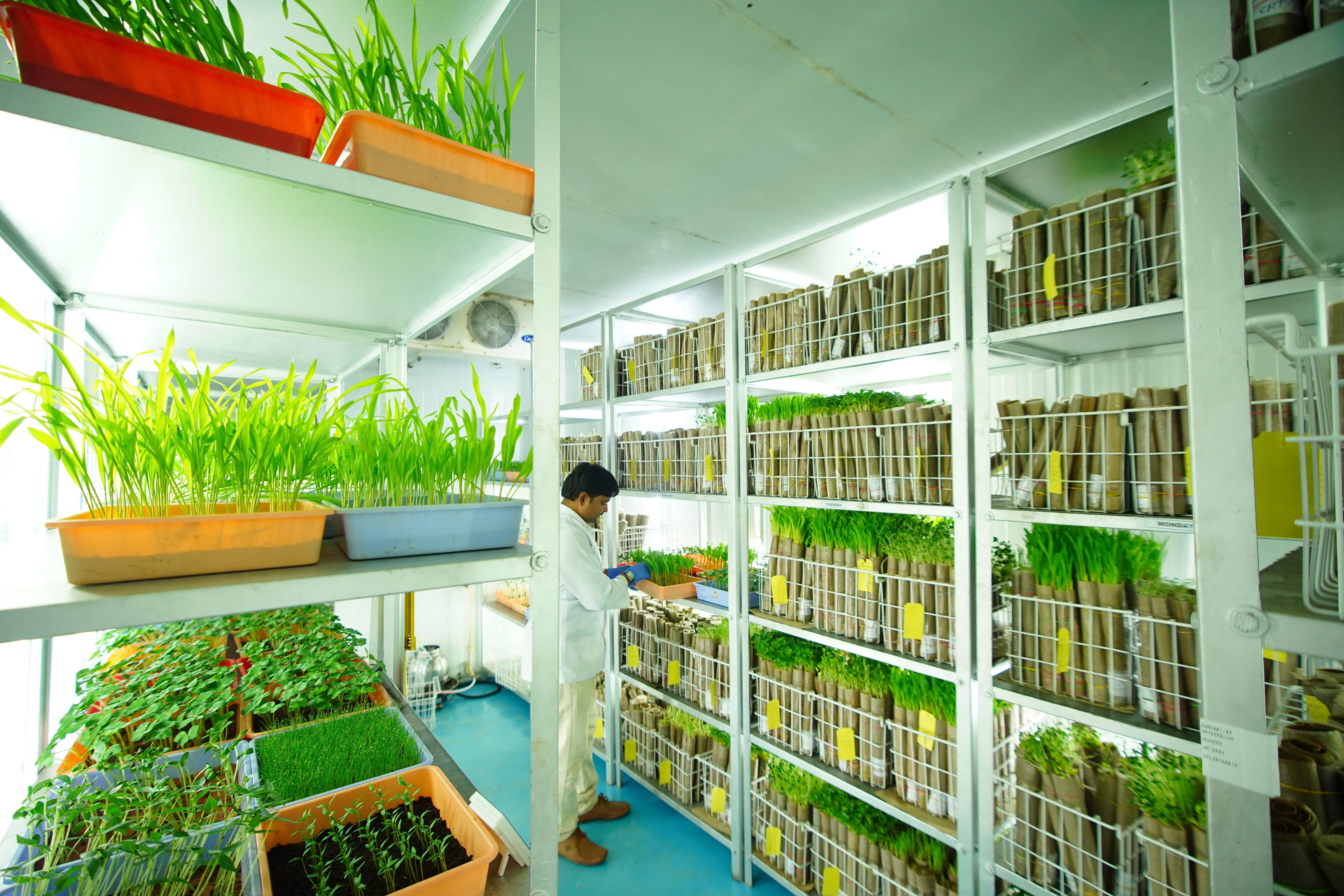 Agriculture Illustration